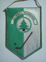 /album/gheorgheni/a-s-avintul-gheorgheni-20-jpg/